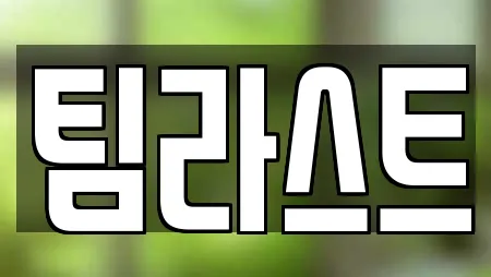 팀라스트