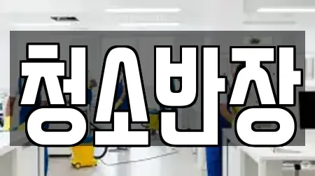 청소반장
