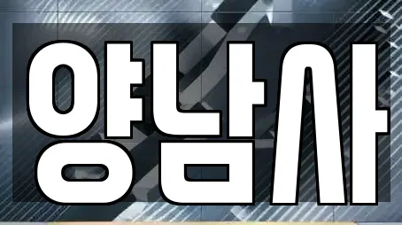 양남사