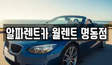 알파렌트카 월렌트 명동점