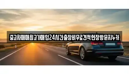 중고차매매최고가매입24시간출장비무료견적현장방문지누카