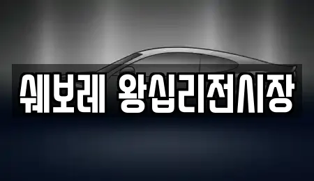 서울 하왕십리동 추천 자동차전시장,렌트카,장기렌트카,중고차 위치 서울 하왕십리동 추천 자동차전시장,렌트카,장기렌트카,중고차 위치