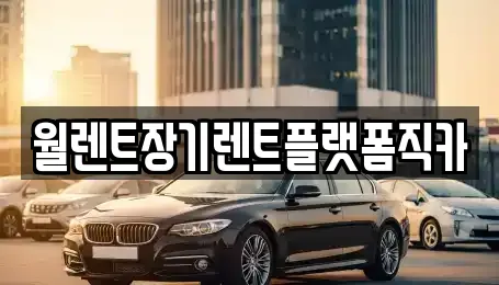 월렌트장기렌트플랫폼직카