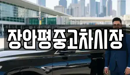 장안평중고차시장