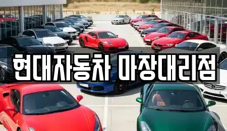 현대자동차 마장대리점