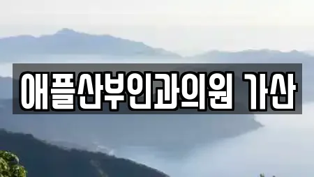 애플산부인과의원 가산