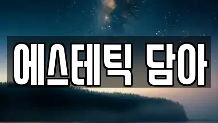 에스테틱 담아