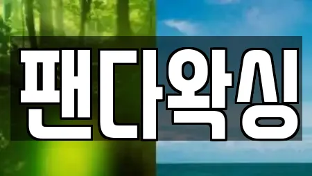 팬다왁싱