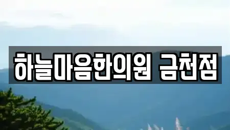 하늘마음한의원 금천점