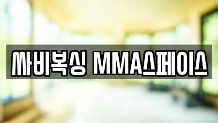 싸비복싱 MMA스페이스