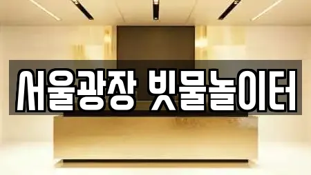 서울광장 빗물놀이터