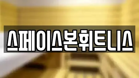 스페이스본휘트니스