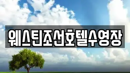 웨스틴조선호텔수영장