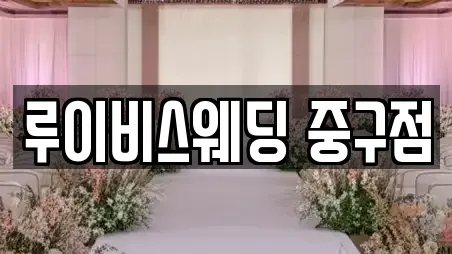 루이비스웨딩 중구점
