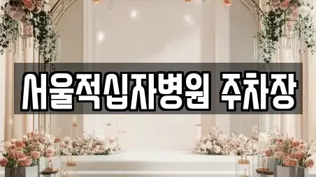 서울적십자병원 주차장