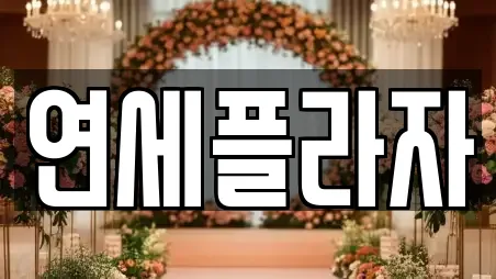 연세플라자