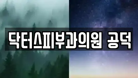 닥터스피부과의원 공덕
