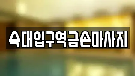 숙대입구역금손마사지