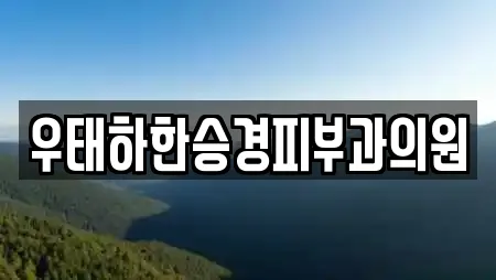 우태하한승경피부과의원