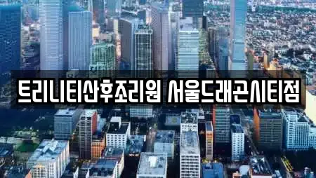 트리니티산후조리원 서울드래곤시티점