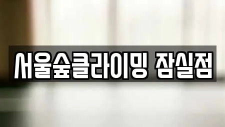서울숲클라이밍 잠실점