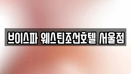 브이스파 웨스틴조선호텔 서울점