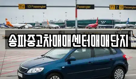 송파중고차매매센터매매단지