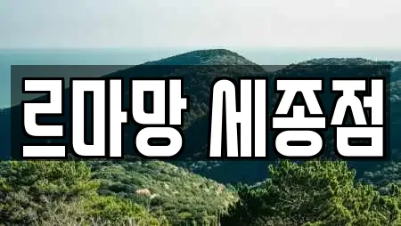 르마망 세종점