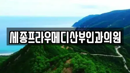 세종프라우메디산부인과의원