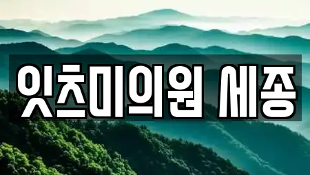 잇츠미의원 세종