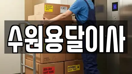 수원용달이사