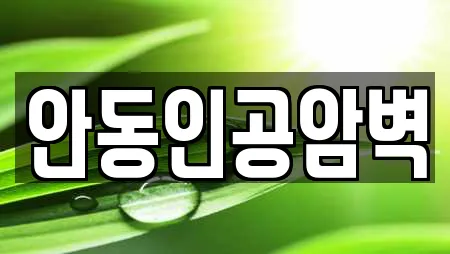 안동인공암벽