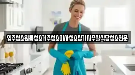입주청소원룸청소거주청소이사청소상가사무실식당청소전문