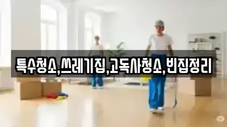 특수청소,쓰레기집,고독사청소,빈집정리