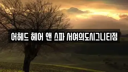 어헤드 헤어 앤 스파 서여의도시그니티점