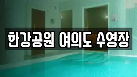 한강공원 여의도 수영장