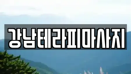강남테라피마사지