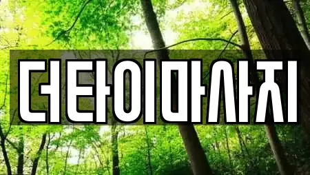 더타이마사지