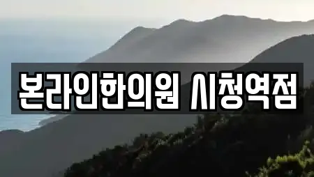 본라인한의원 시청역점