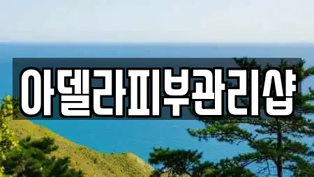 아델라피부관리샵
