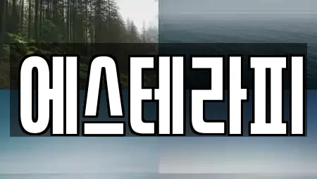 에스테라피
