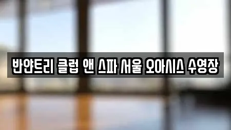 반얀트리 클럽 앤 스파 서울 오아시스 수영장
