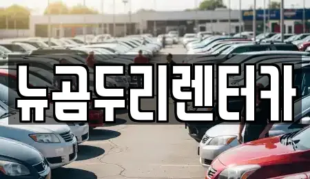뉴곰두리렌터카