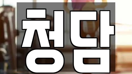청담