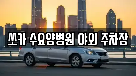 쏘카 수요양병원 야외 주차장