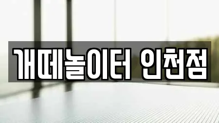 개떼놀이터 인천점