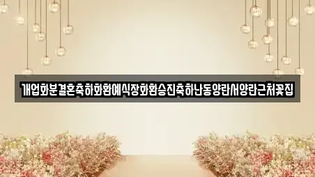 개업화분결혼축하화환예식장화환승진축하난동양란서양란근처꽃집