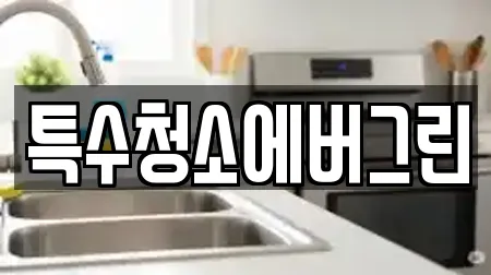 특수청소에버그린