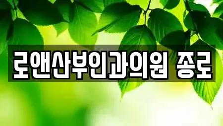로앤산부인과의원 종로