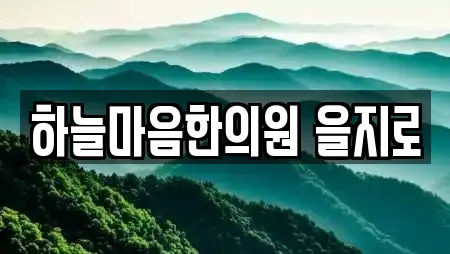 하늘마음한의원 을지로